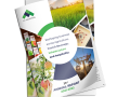 annual-report-design-agency-in-Malaysia